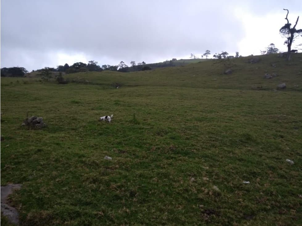 Finca 25 fanegadas Anolaima Cundinamarca - 1