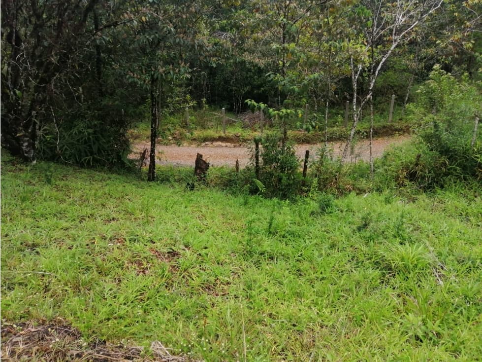 VENTA LOTE RURAL VEREDA LA TEBAIDA SAN LUIS ANTIOQUIA - 1