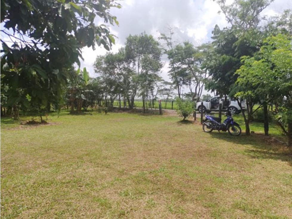 FINCA  DE HECTAREA Y MEDIA CON CASA EN OFERTA - 1