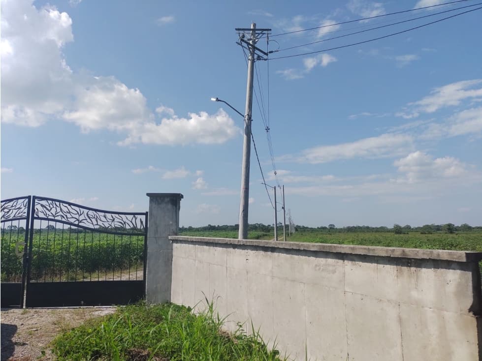 VENTA DE UNA HECTAREA CON ESCRITURA INDIVIDUAL CASTILLA LA NUEVA - 1
