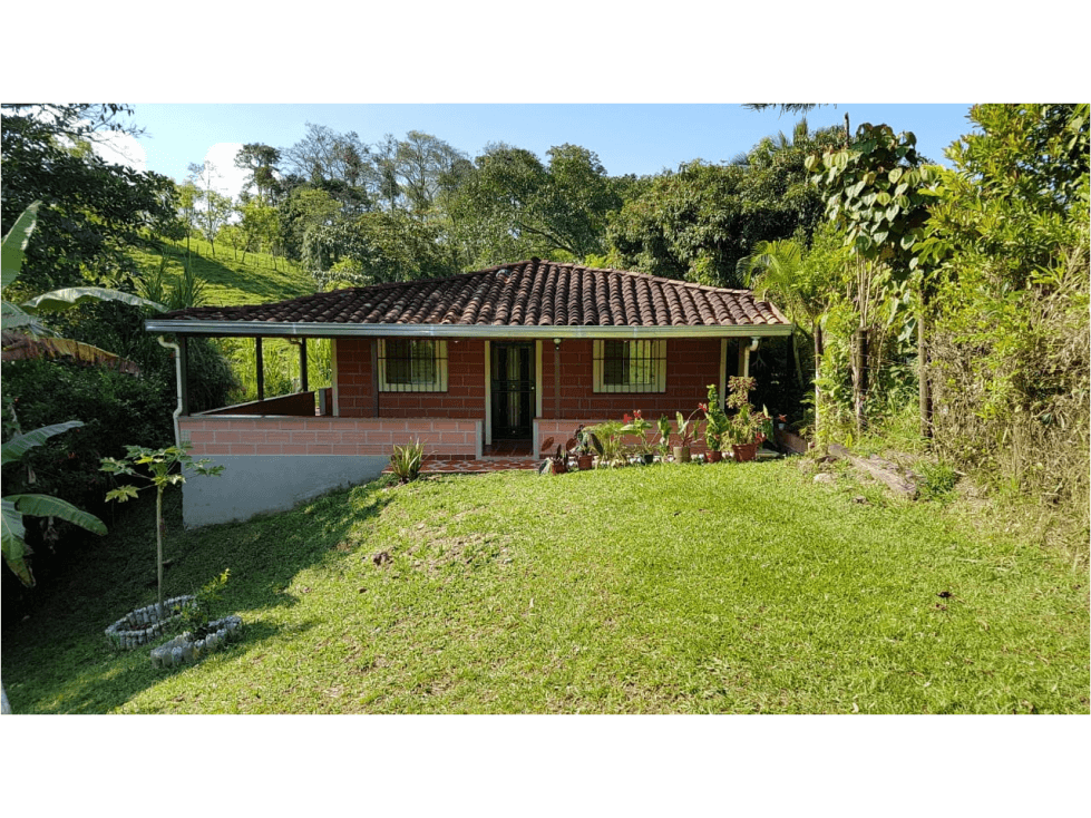 Venta finca Fredonia Hoyofrio Suroeste antioqueño - 1