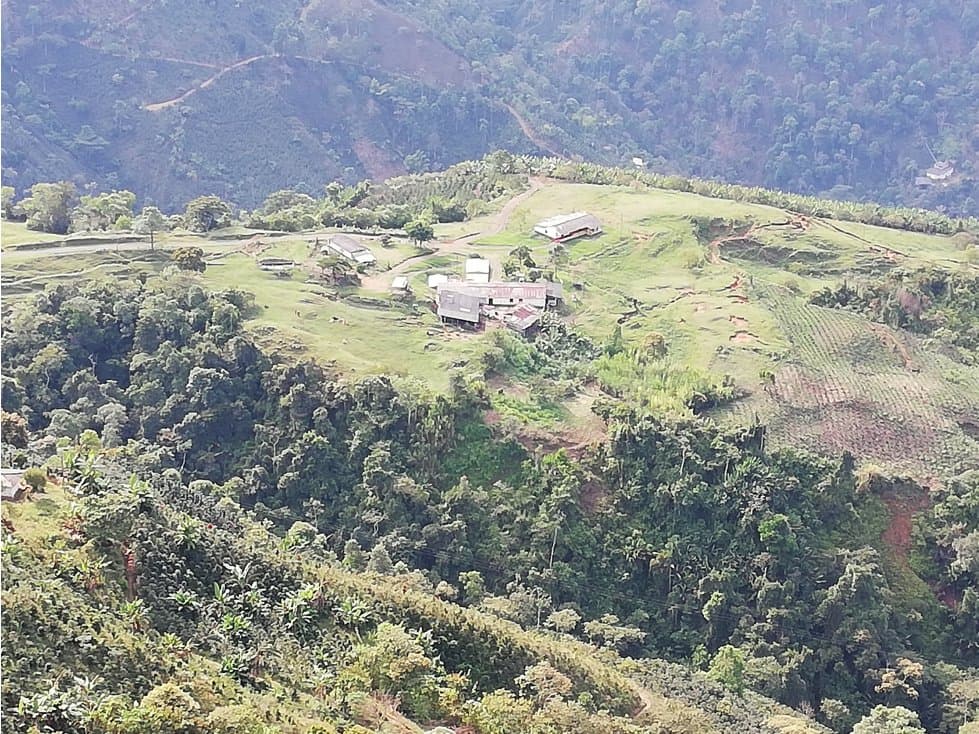 Venta Finca Productiva Concordia Suroeste Antioqueño - 1