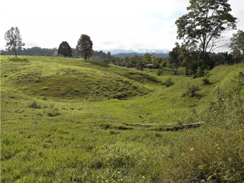 Se vende Finca 836 Hect. Cimitarra, Santander - 1