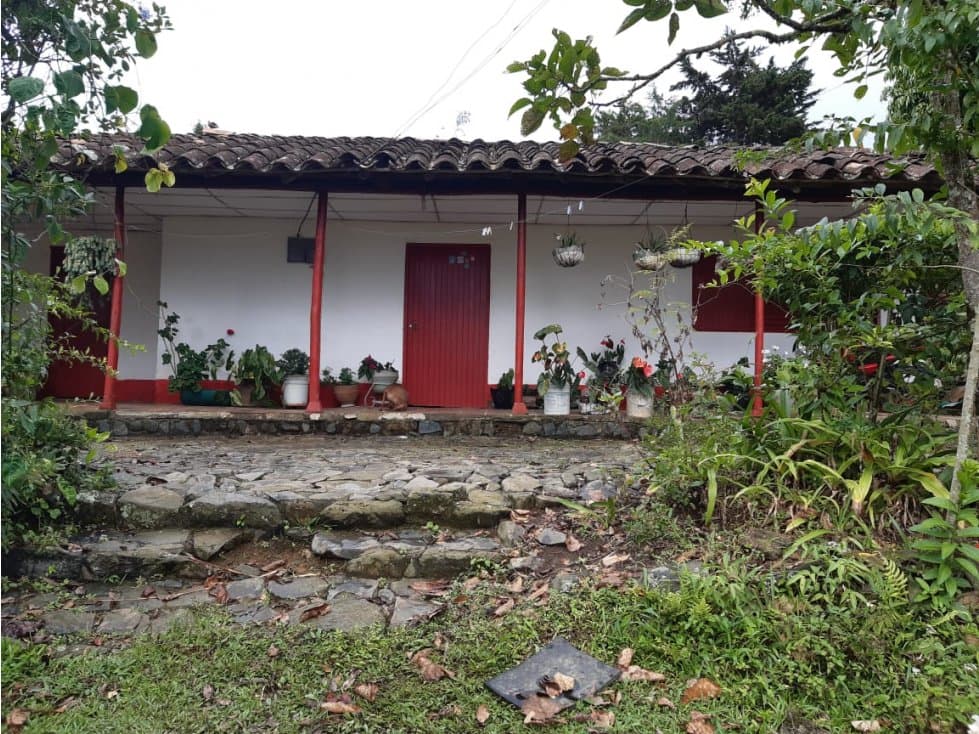 Venta de Finca en Yarumal Antioquia - 1