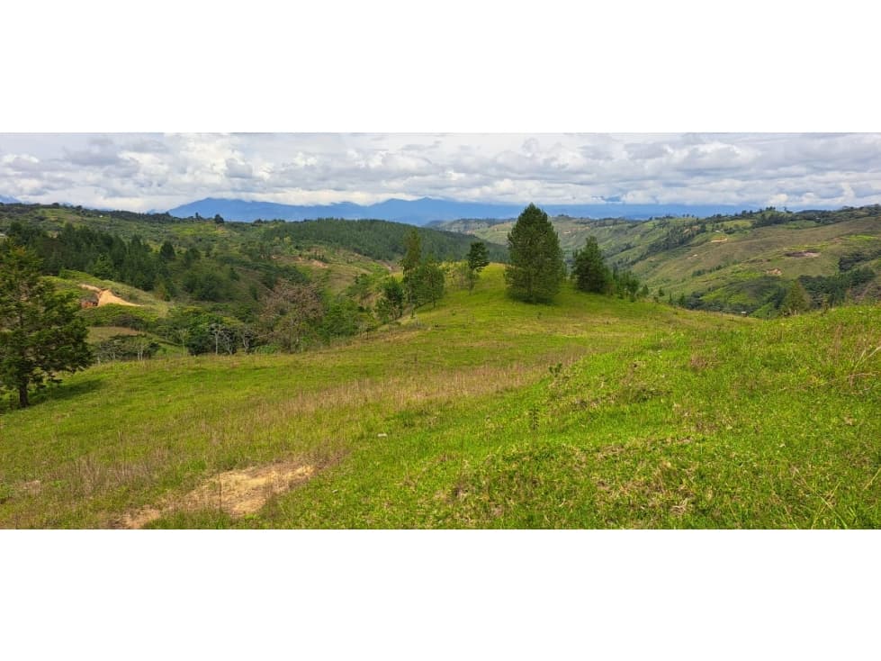 GEA Vende Finca - El Guayabal, Timbío - 1