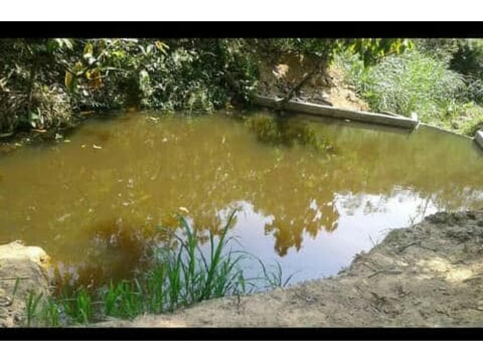 PERMUTO O VENDO FINCA EN RIONEGRO SANTANDER $300 MILLONES - 1