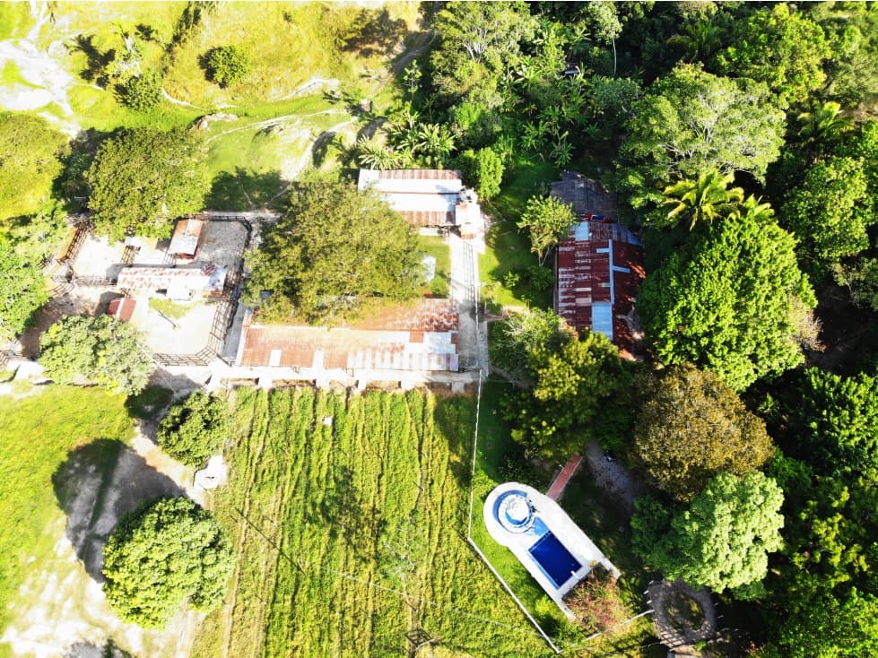 Finca ganadera en La Dorada 256 c - 1