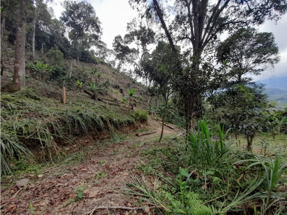 Vendo Lote en  San Francisco Cundinamarca - 1