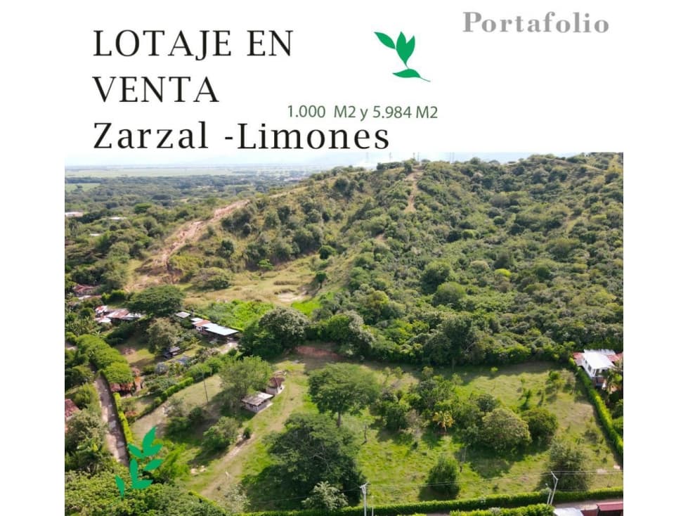 VENTA LOTE CAMPESTRE INDEPENDIENTE ZARZAL SECTOR LIMONES - 1