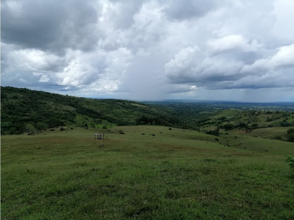Finca la esperanza - 1