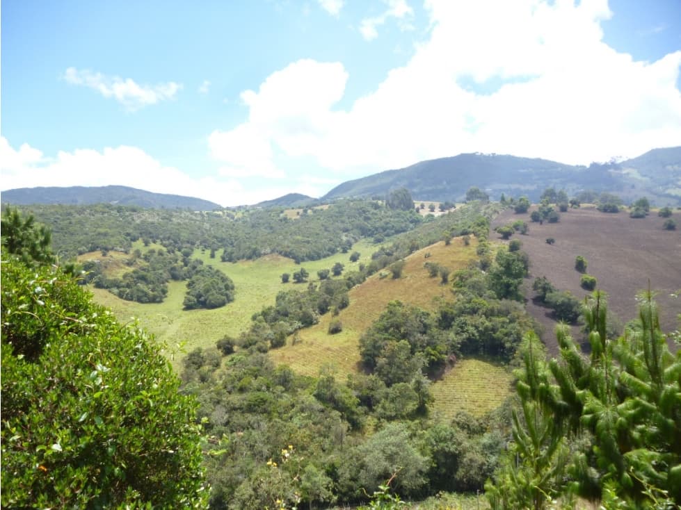 VIV-592 LOTE RURAL VEREDA LAS DELICIAS- SIBATE - 1