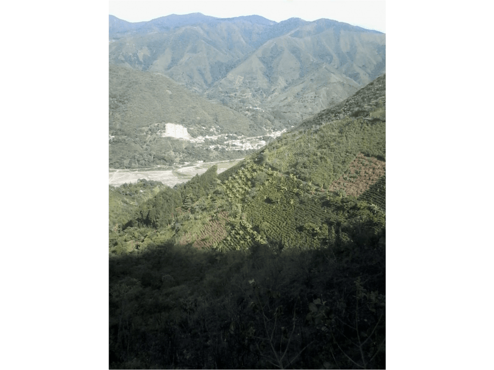 vendo lotes de 1000 m2 en piendamo cauca colombia - 1