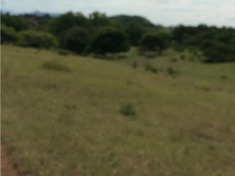 Vendo Hermoso Lote En Agua de Dios - 1