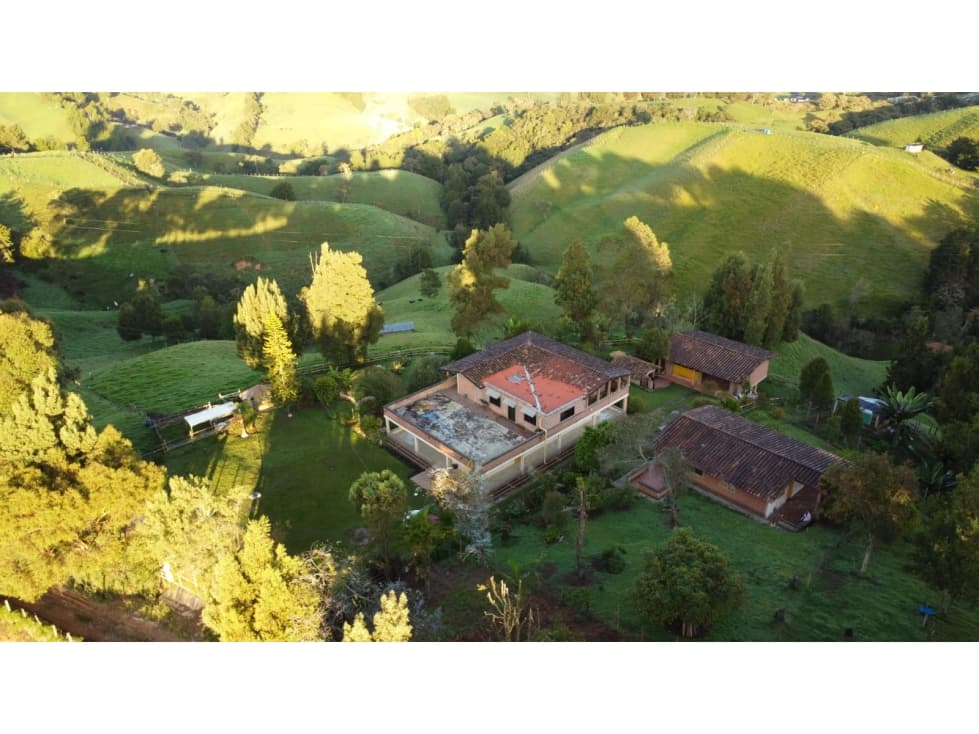 venta finca en San Pedro de los Mlagros - 1