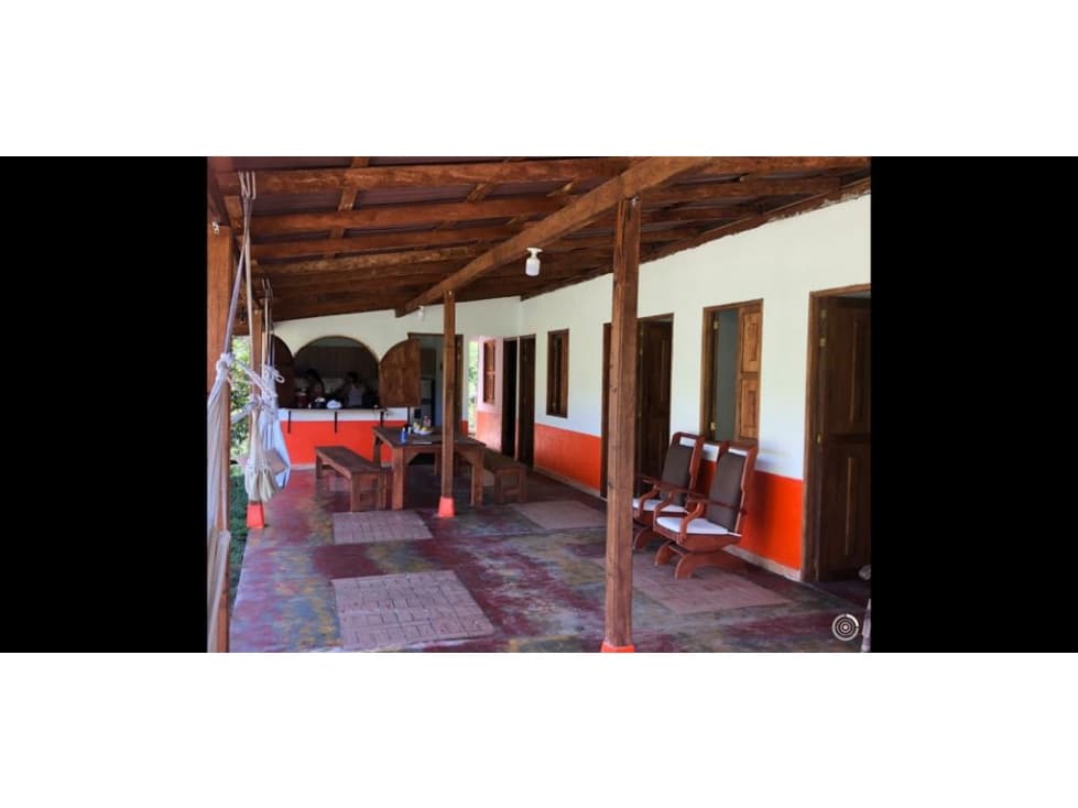 Venta Finca Productiva San Pedro Maceo Antioquia - 1