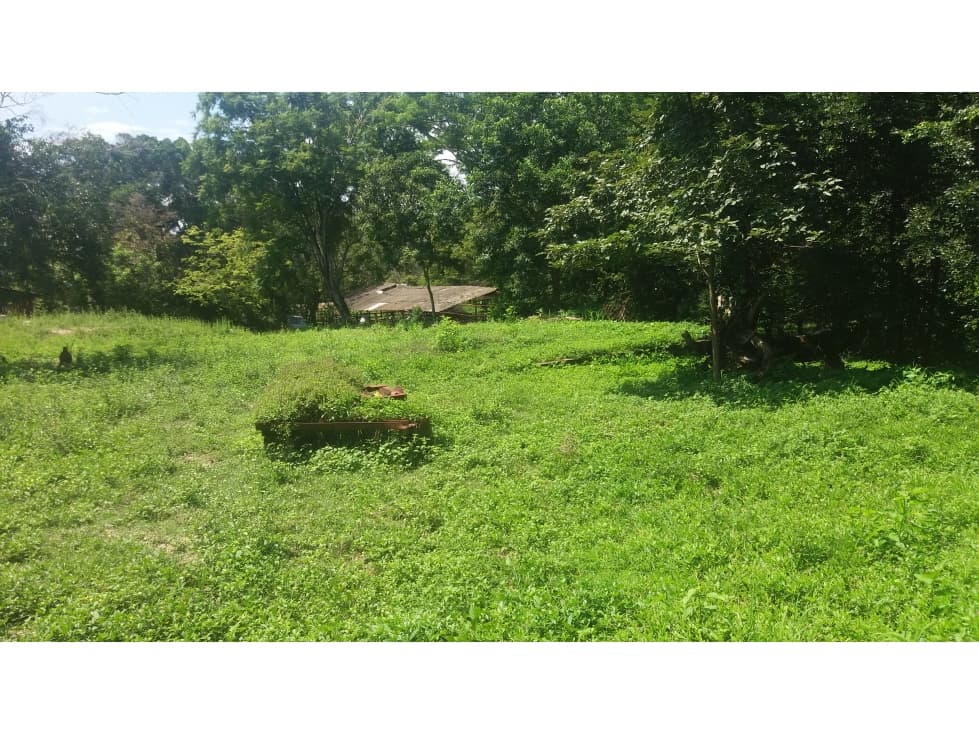 Se vende espectacular Finca Ganadera y Agrícola en Lérida - Tolima - 1