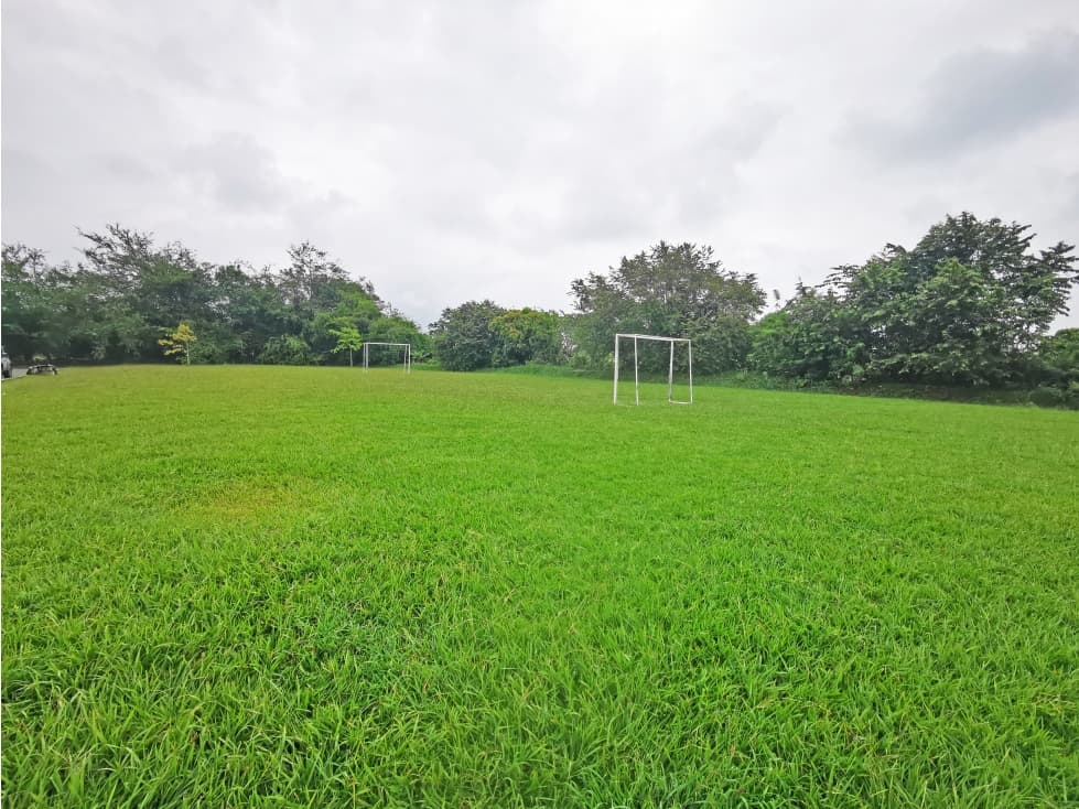 LOTE COMERCIAL EN VENTA, NORTE, GINEBRA - 1