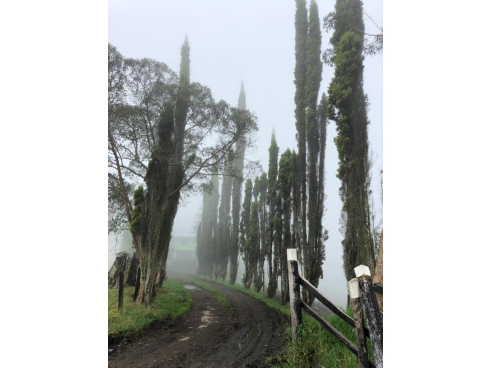 Hermosa Finca a 10 Km de Bogotá - 1