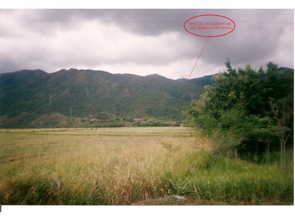 SE VENDE LOTE EN VIJES VALLE DEL CAUCA - 1