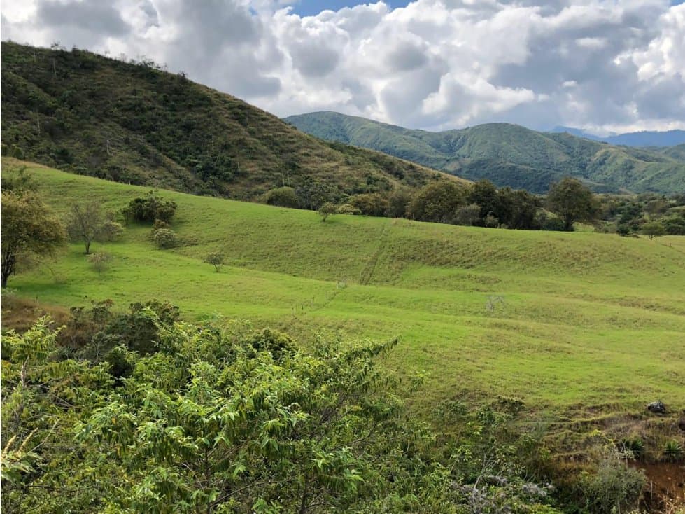 SE VENDE LOTE EN TORO - VALLE DEL CAUCA - 1