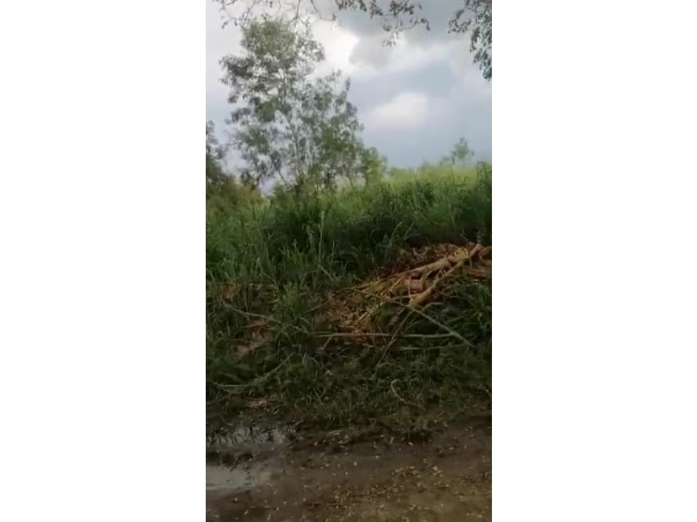 SE VENDE LOTE EN PRADERA - VALLE DEL CAUCA - 1