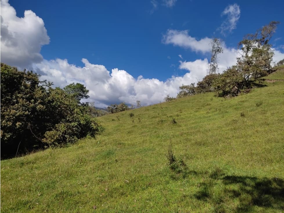 VENDO FINCA EN JUNIN  - CUNDINAMARCA - 1