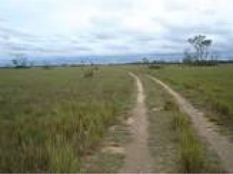 Finca en venta de 1522 hectáreas Vichada RIO PAILA - 1