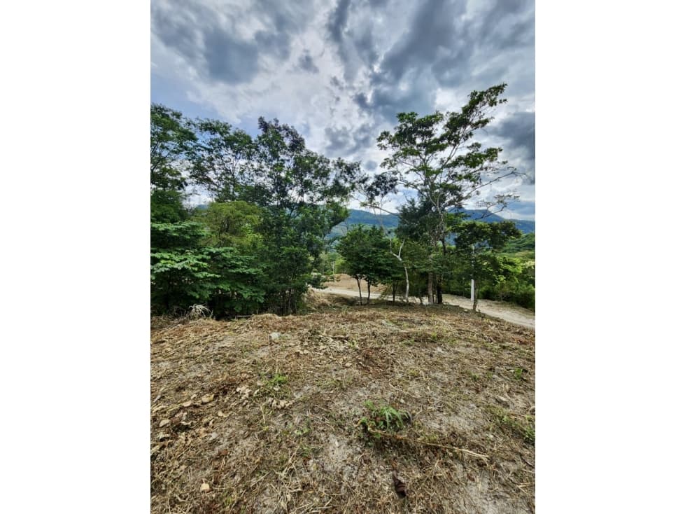 Lotes para venta de 2010 metros Nimaima Cundinamarca - 1