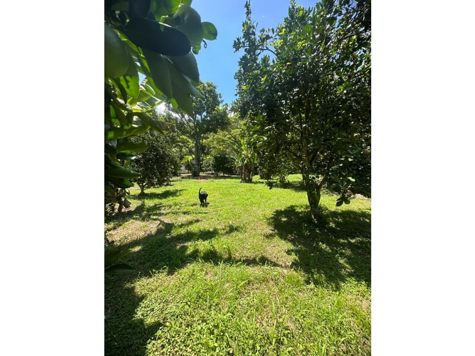 SE ARRIENDA PARCELA CAMPESTRE - 1