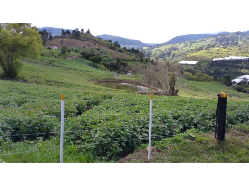 SE VENDE FINCA EN UNE CUNDINAMARCA - 1