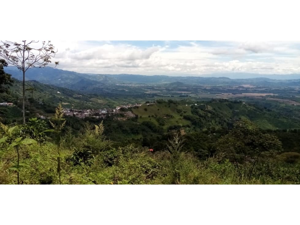 VENTA  LOTE - BUENAVISTA - 1