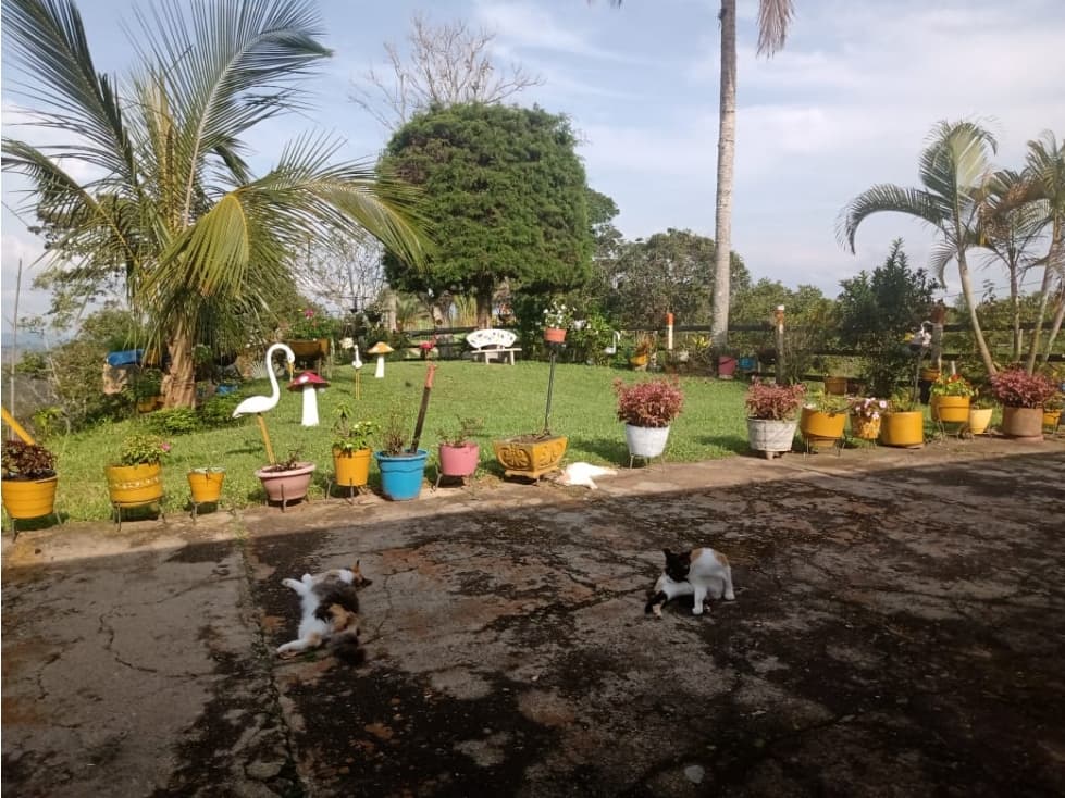 VENPERMUTO CASA FINCA 2.778 MTS.2 SAN ROQUE ANTIOQUIA - 1