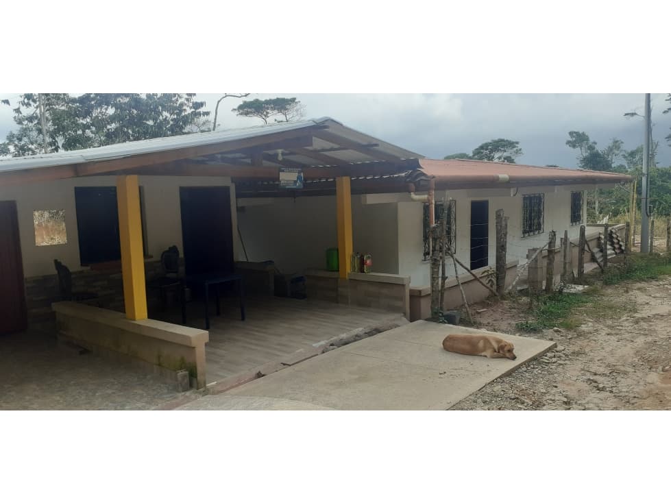 CASA Y LOCAL EN SAN ROQUE ANTIOQUIA - 1