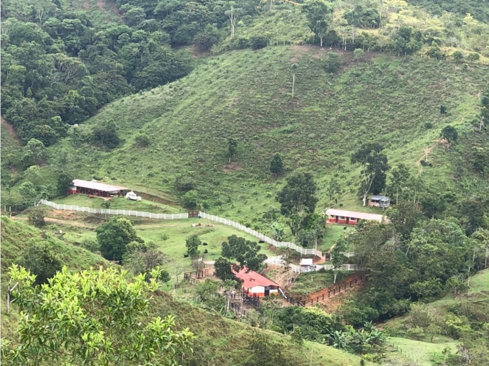 VENTA DE HERMOSA FINCA DE 292 HECTÁREAS EN MACEO ANTIOQUIA - 1