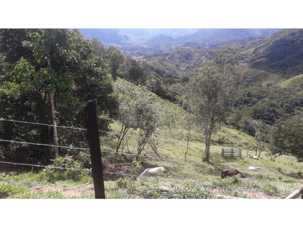 FINCA DE 14 HECTÁREAS EN SAN CARLOS  ANTIOQUIA - 1