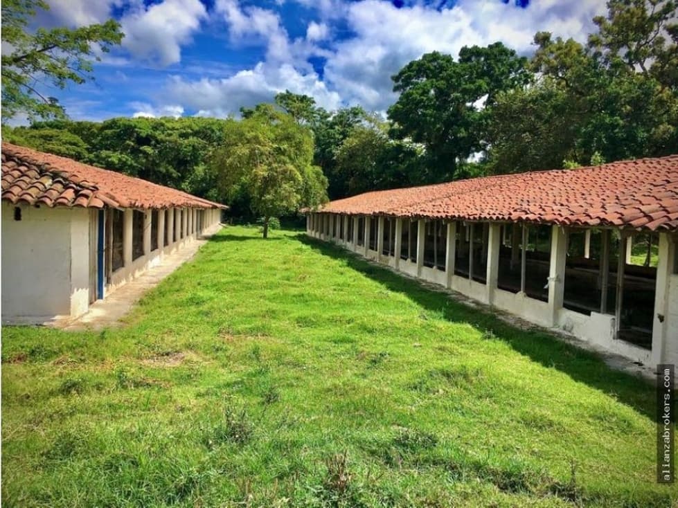 SE VENDE O SE RENTA MAS HERMOSA FINCA GRANJA AVICOLA EN SAN PEDRO - 1