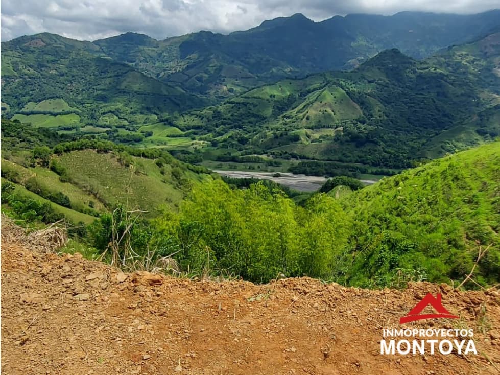 Finca ganadera de 50 cuadras en Balboa, Risaralda - 1