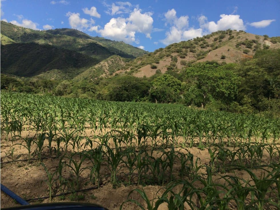 Lote rural en venta Olaya Sucre - 1