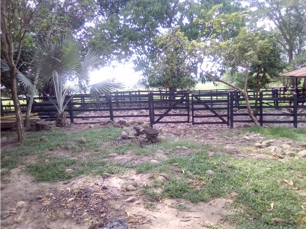 Finca Ganadera en venta en Cimitarra Santander - 1