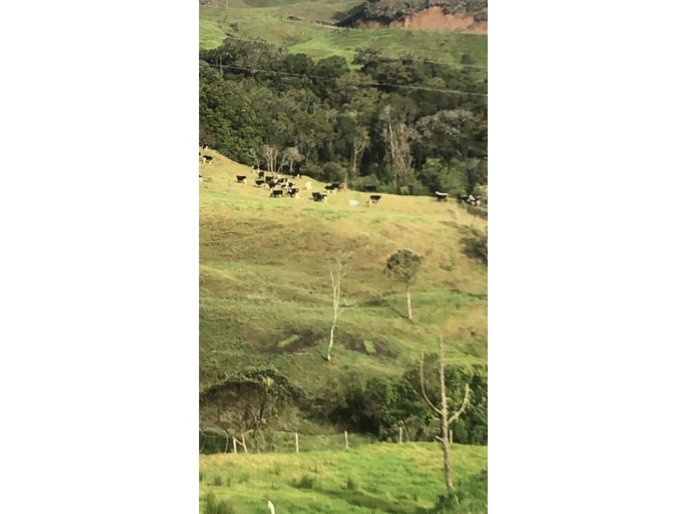 Finca en Venta Entre San Jose de la Montaña y San Andres de Cuerquia - 1