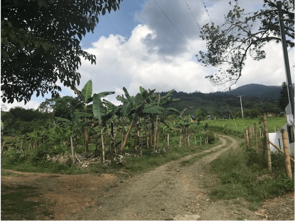 Finca  con casa  a solo  20  de Guacari  Valle - Venta - 1