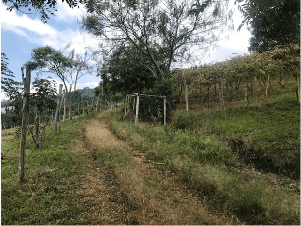 Finca Agricola  Venta  a  30  minutos de Ginebra- Valle - 1