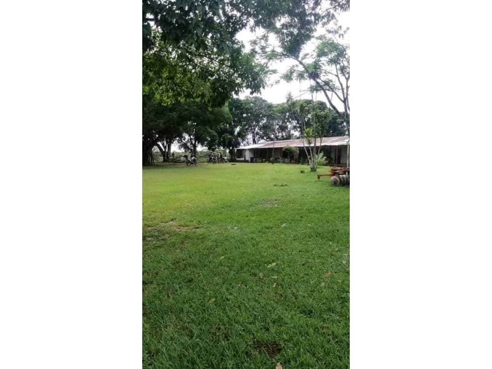 VENTA DE FINCA GANADERA  LLANOS ORIENTALES - 1