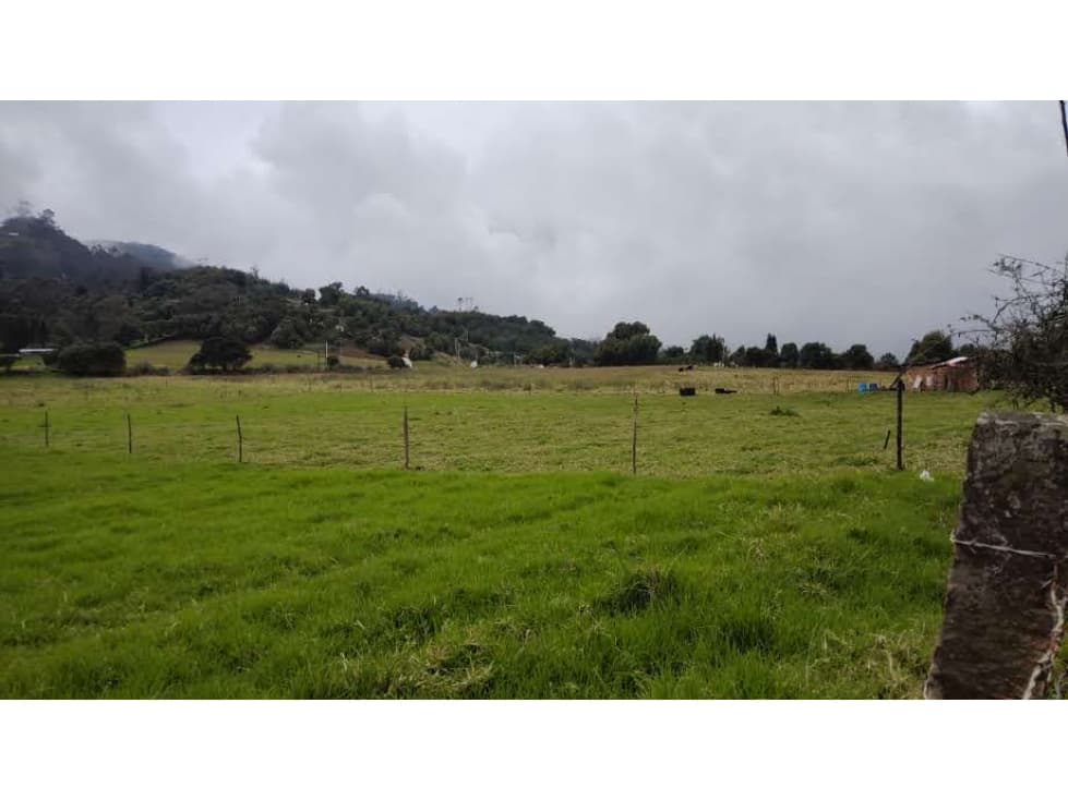 LOTE PLANO DE 4 HECTAREAS PARA PROYECTO HIDROPONICO O CANNABIS - 1