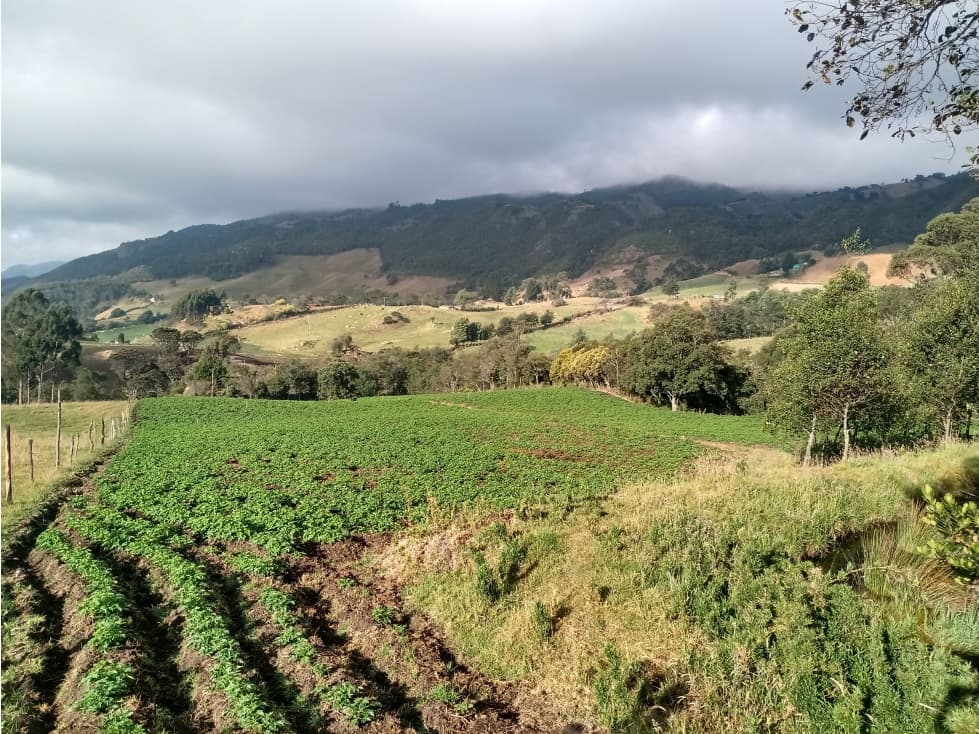 EN VENTA LOTE EN SECTOR LA PRADERA - SUBACHOQUE USO AGROPECUARIO - 1