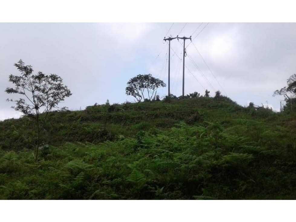 Lote en venta en San Jose del Palmar Choco 37 hectareas (C.P) - 1