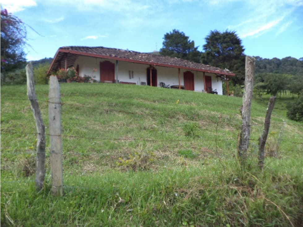 Venta Lote gran oportunidad 40 cuadras en San Antonio de Prado. - 1
