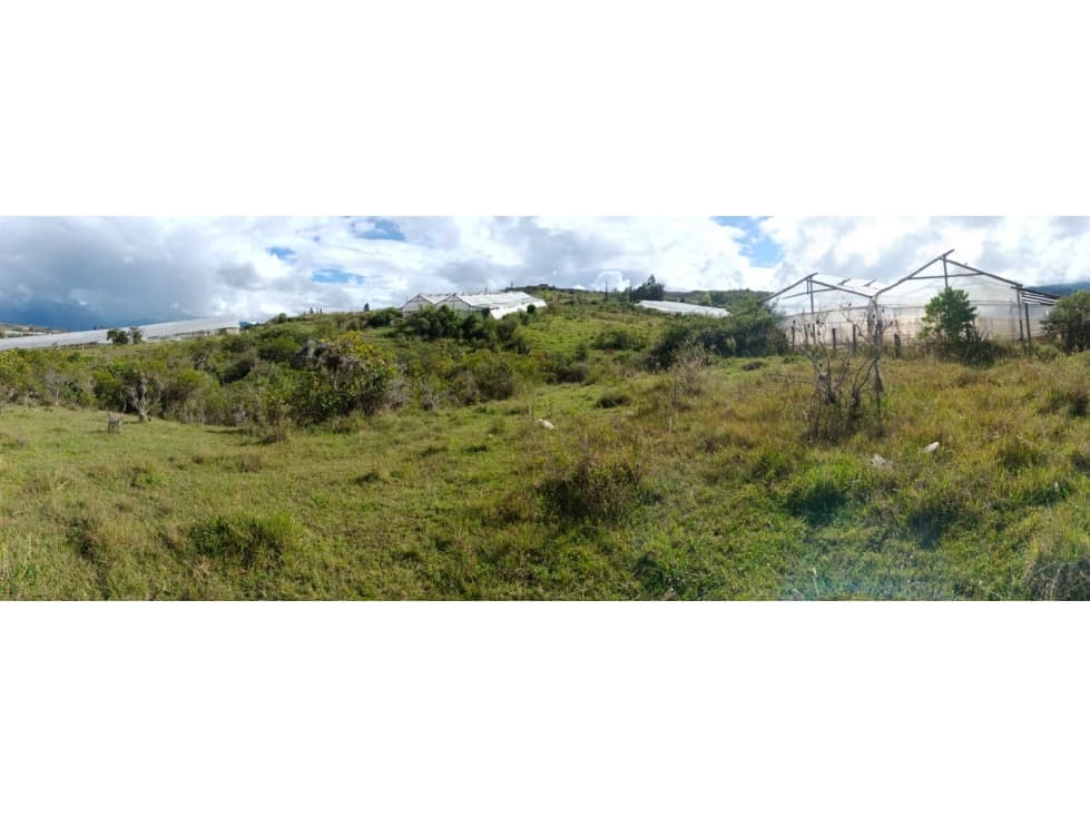 FINCA EN PRODUCCION, SUPER PRECIO - 1