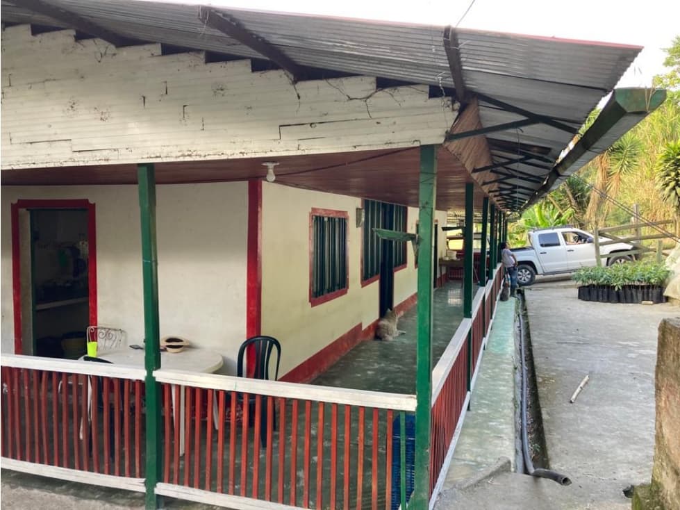 VENDO FINCA EN COELLO-TOLIMA - 1