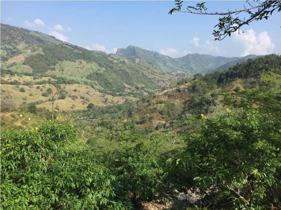 Lote en Venta en Parcelación  Nimaima-Cundinamarca - 1